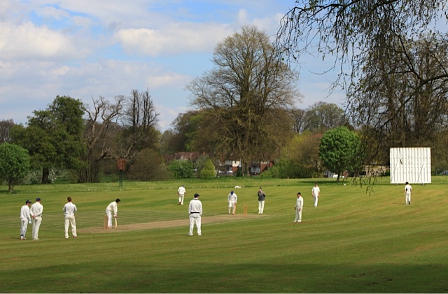 Cricket